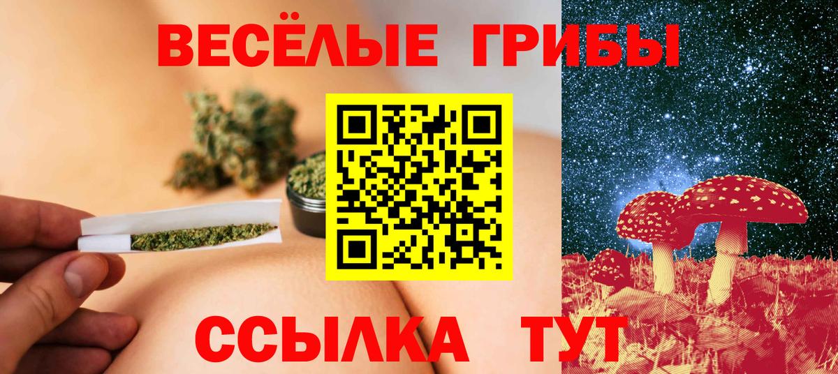 Галлюциногенные грибы Psilocybe  Вход с VPN  Ярцево 
